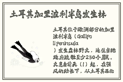 不要这样嗯红肿疼痛小缝不能合拢